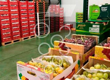 ¿Por qué contar con mayoristas de frutas y verduras en Badajoz?