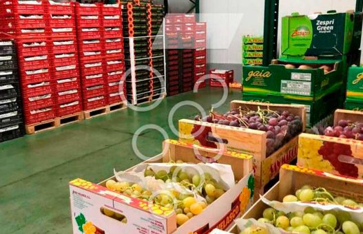 ¿Por qué contar con mayoristas de frutas y verduras en Badajoz?