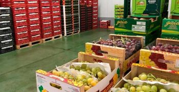 portafio-003 Frutas Aranzazu