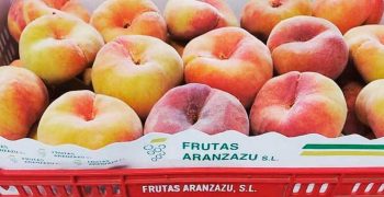 portafio-005 Frutas Aranzazu