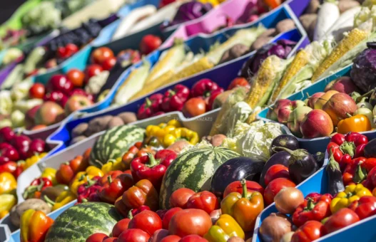 Distribución de Fruta Exótica en Olivenza y La Albuera: Mango, Aguacate y Tropicales