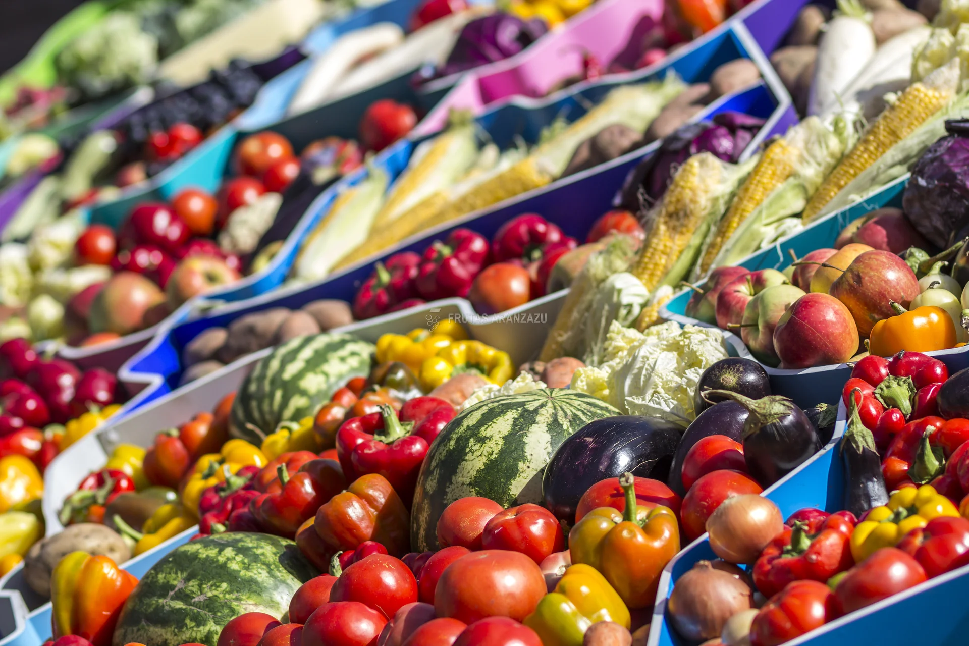 Distribución de Fruta Exótica en Olivenza y La Albuera: Mango, Aguacate y Tropicales