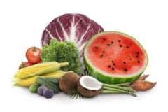 Verduras Frescas para Hostelería en Mérida: Servicio Mayorista con Entrega Directa