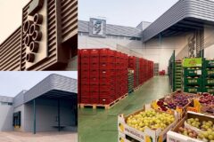Garantía y trazabilidad: Los pilares de la Política de Calidad en Frutas Aranzazu S.L.