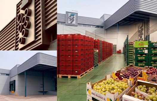 Garantía y trazabilidad: Los pilares de la Política de Calidad en Frutas Aranzazu S.L.